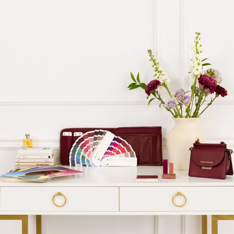 Instituto de Imagen Personal - Programa de Colorimetría