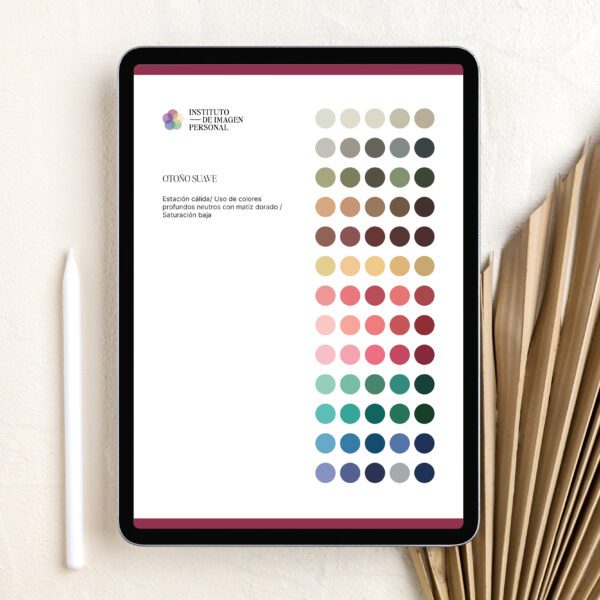 Set de Paletas Digitales  [12 Estaciones]